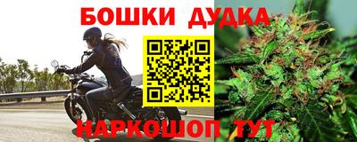 шишки Ливны