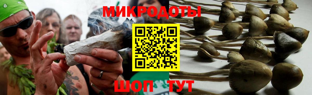 Гуково  Галлюциногенные грибы Psilocybe  Вход с VPN  как найти   Псилоцибиновые грибы Psilocybine cubensis 